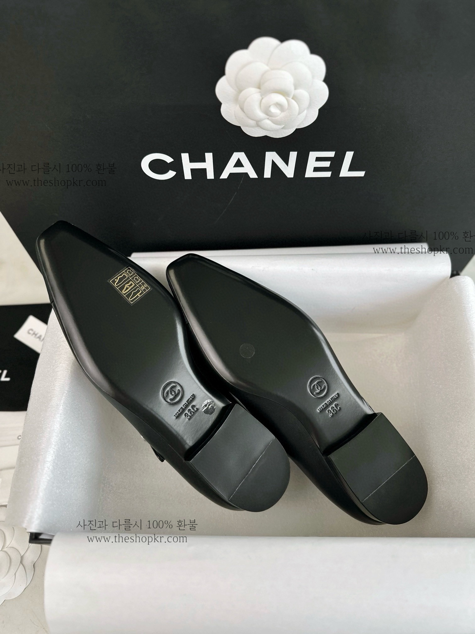 24a295396aed2c403992a588b524be4a_1741596723_3615.jpg